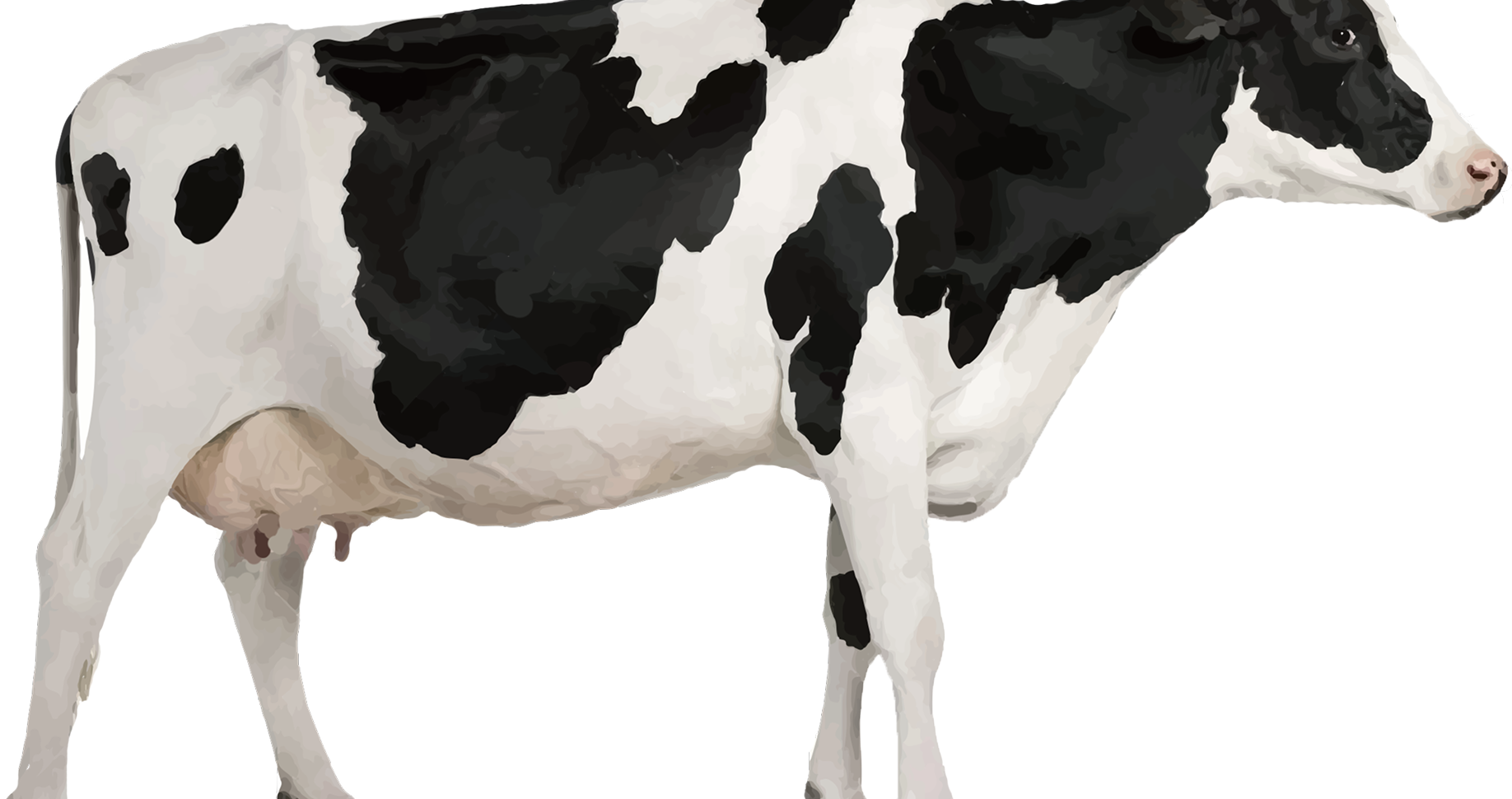 Daily Moo Mood interface